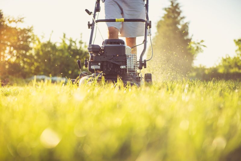 SunLawn Services — Mowing That Keeps Every Yard on Schedule