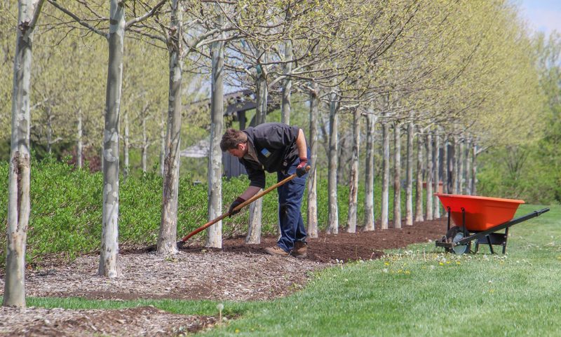 SunLawn Services — A Different Approach to Lawn Care