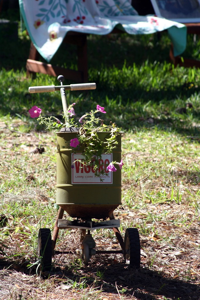 SunLawn Services — A Thicker, Greener Lawn With Fewer Weeds