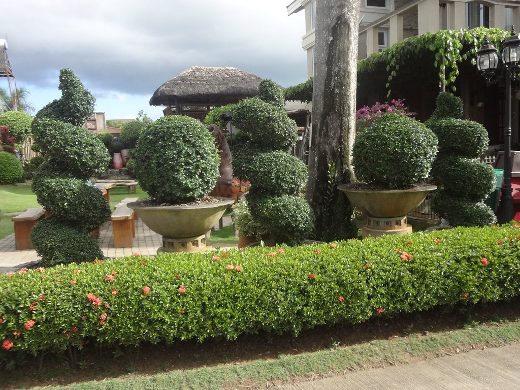 SunLawn Services — Beds and Shrubs That Stay Neat Between Seasons