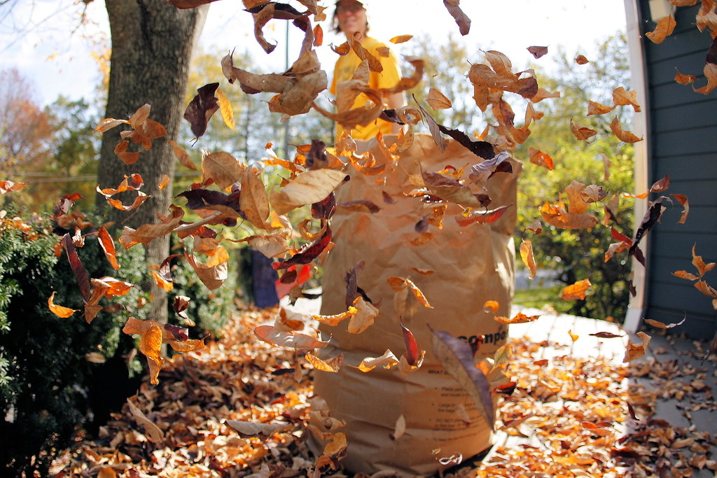 SunLawn Services — One Visit, A Full Reset for the Season Ahead