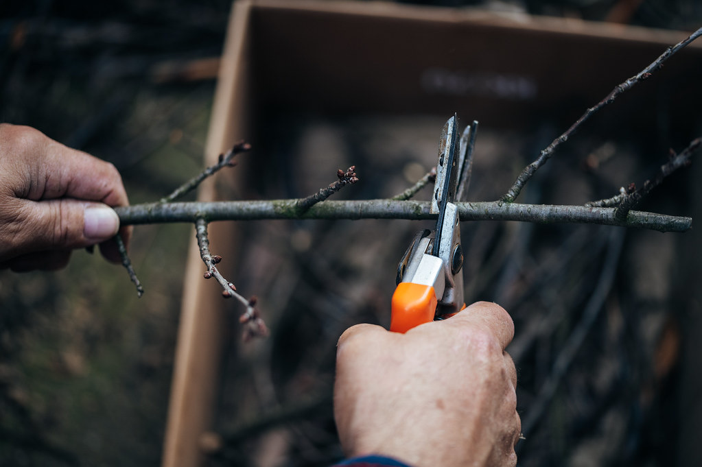 SunLawn Services — Get Your Property Ready for Dormant Season — Done Right